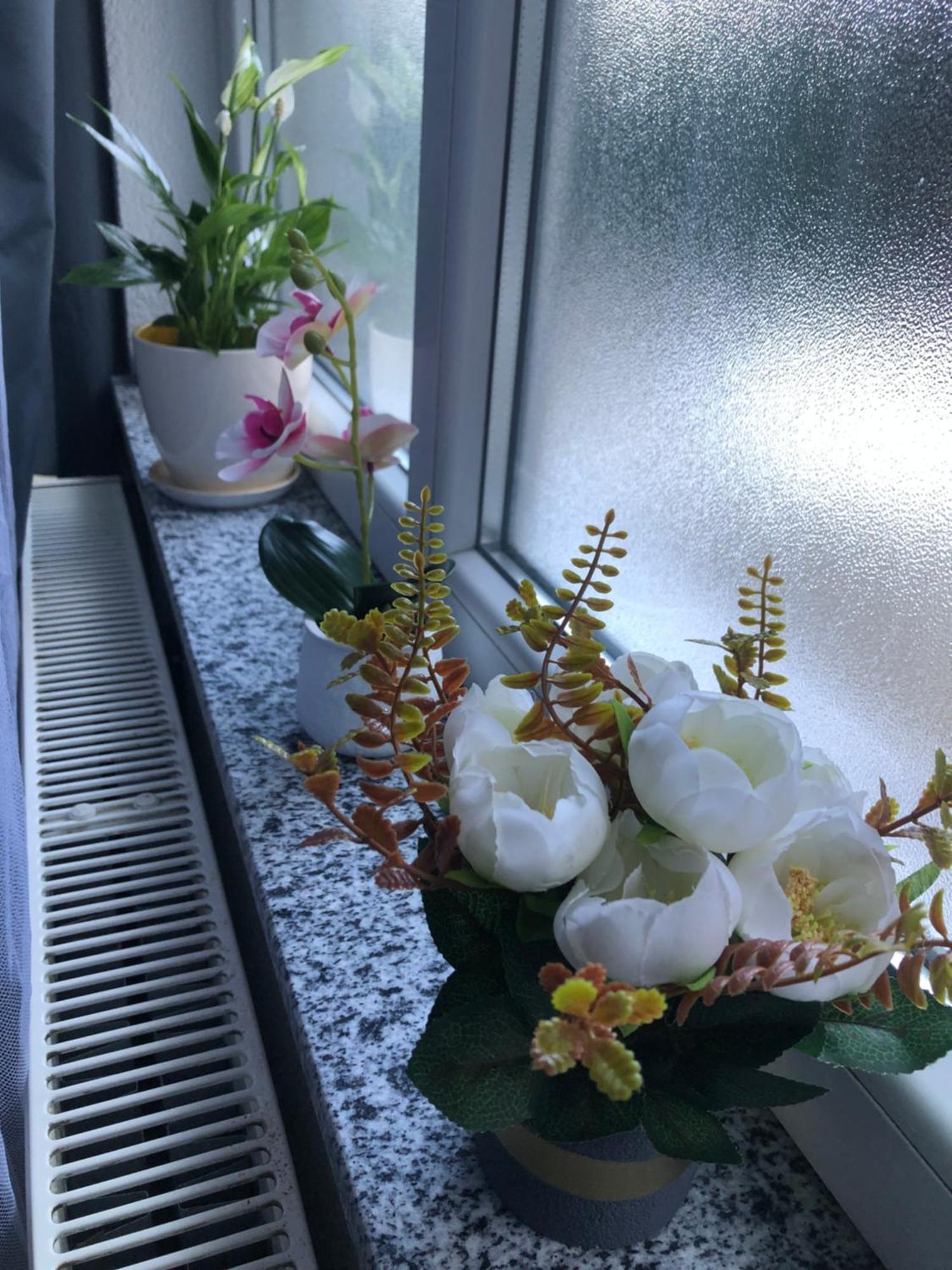 Apartment Graciaa
